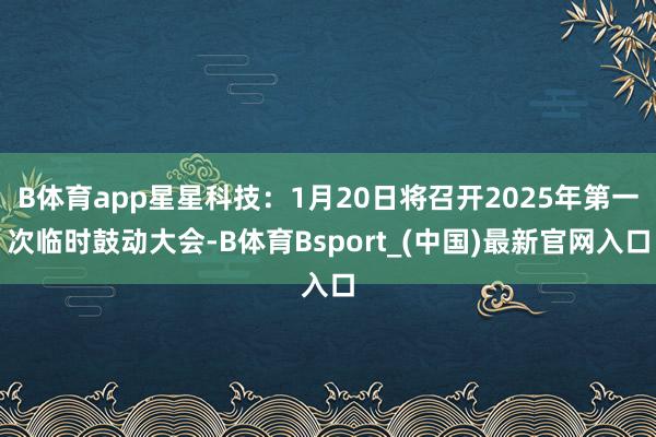 B体育app星星科技：1月20日将召开2025年第一次临时鼓动大会-B体育Bsport_(中国)最新官网入口