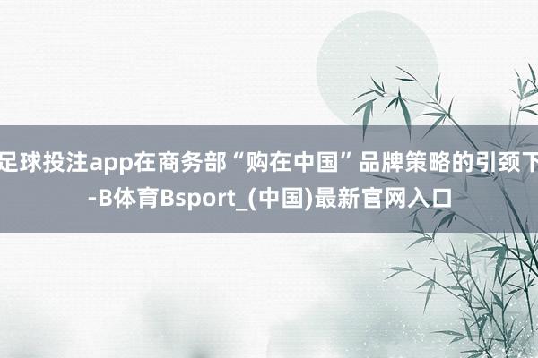 足球投注app在商务部“购在中国”品牌策略的引颈下-B体育Bsport_(中国)最新官网入口