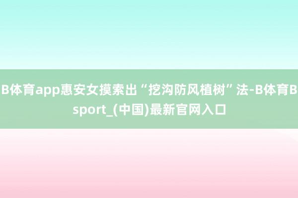 B体育app惠安女摸索出“挖沟防风植树”法-B体育Bsport_(中国)最新官网入口