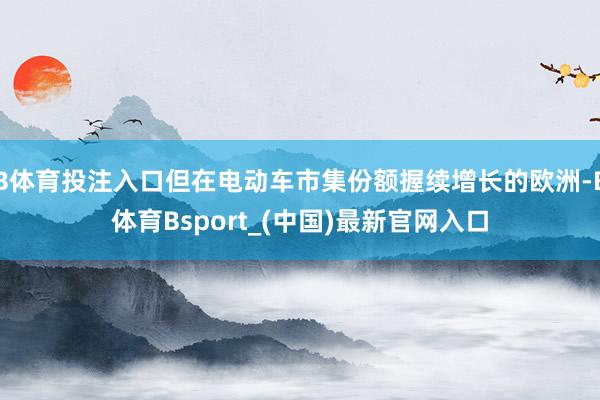 B体育投注入口但在电动车市集份额握续增长的欧洲-B体育Bsport_(中国)最新官网入口