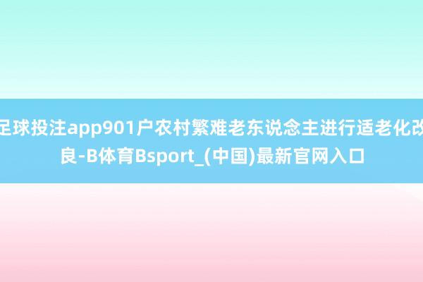 足球投注app901户农村繁难老东说念主进行适老化改良-B体育Bsport_(中国)最新官网入口