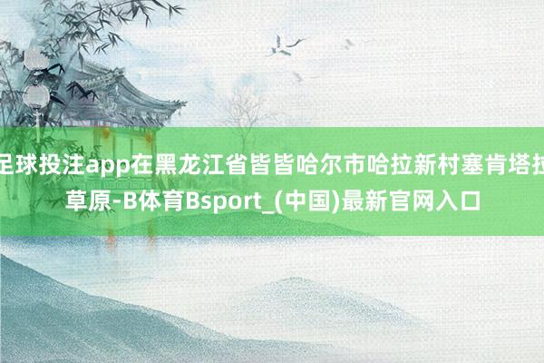 足球投注app在黑龙江省皆皆哈尔市哈拉新村塞肯塔拉草原-B体育Bsport_(中国)最新官网入口