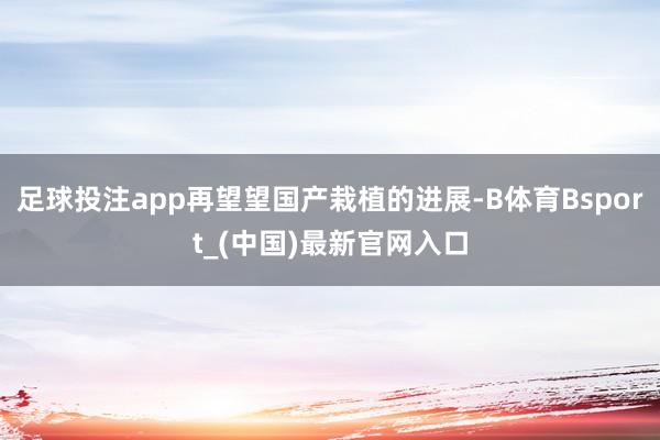 足球投注app再望望国产栽植的进展-B体育Bsport_(中国)最新官网入口