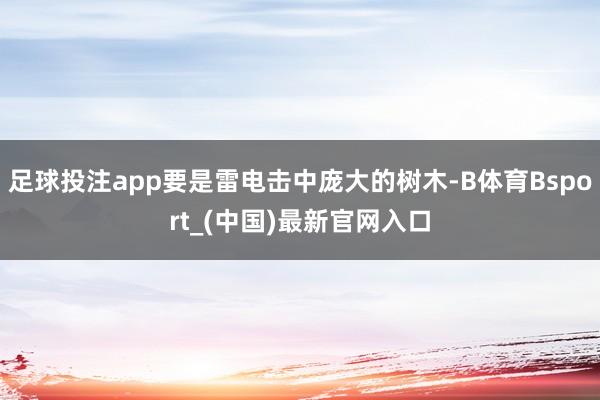 足球投注app要是雷电击中庞大的树木-B体育Bsport_(中国)最新官网入口