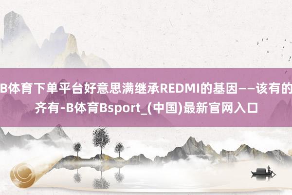 B体育下单平台好意思满继承REDMI的基因——该有的齐有-B体育Bsport_(中国)最新官网入口
