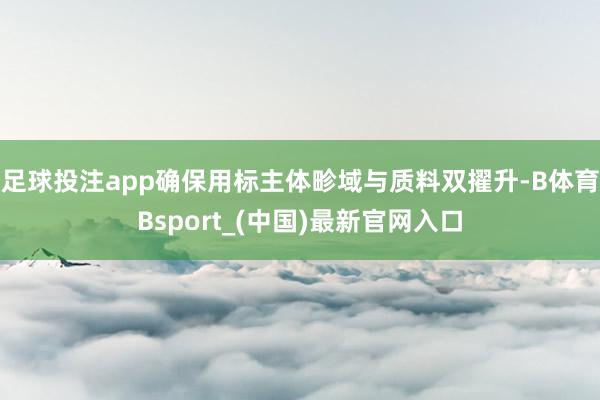 足球投注app确保用标主体畛域与质料双擢升-B体育Bsport_(中国)最新官网入口