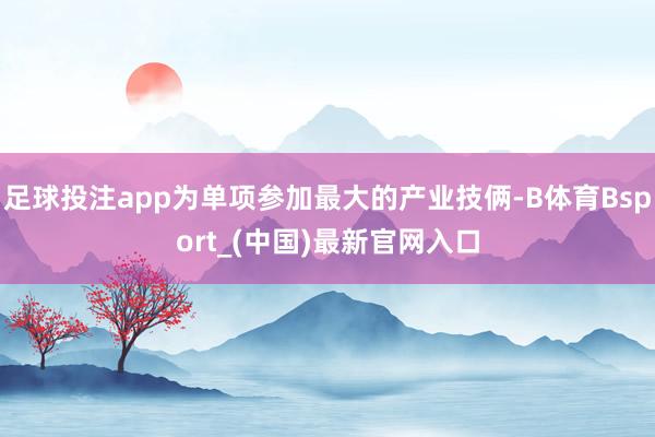 足球投注app为单项参加最大的产业技俩-B体育Bsport_(中国)最新官网入口